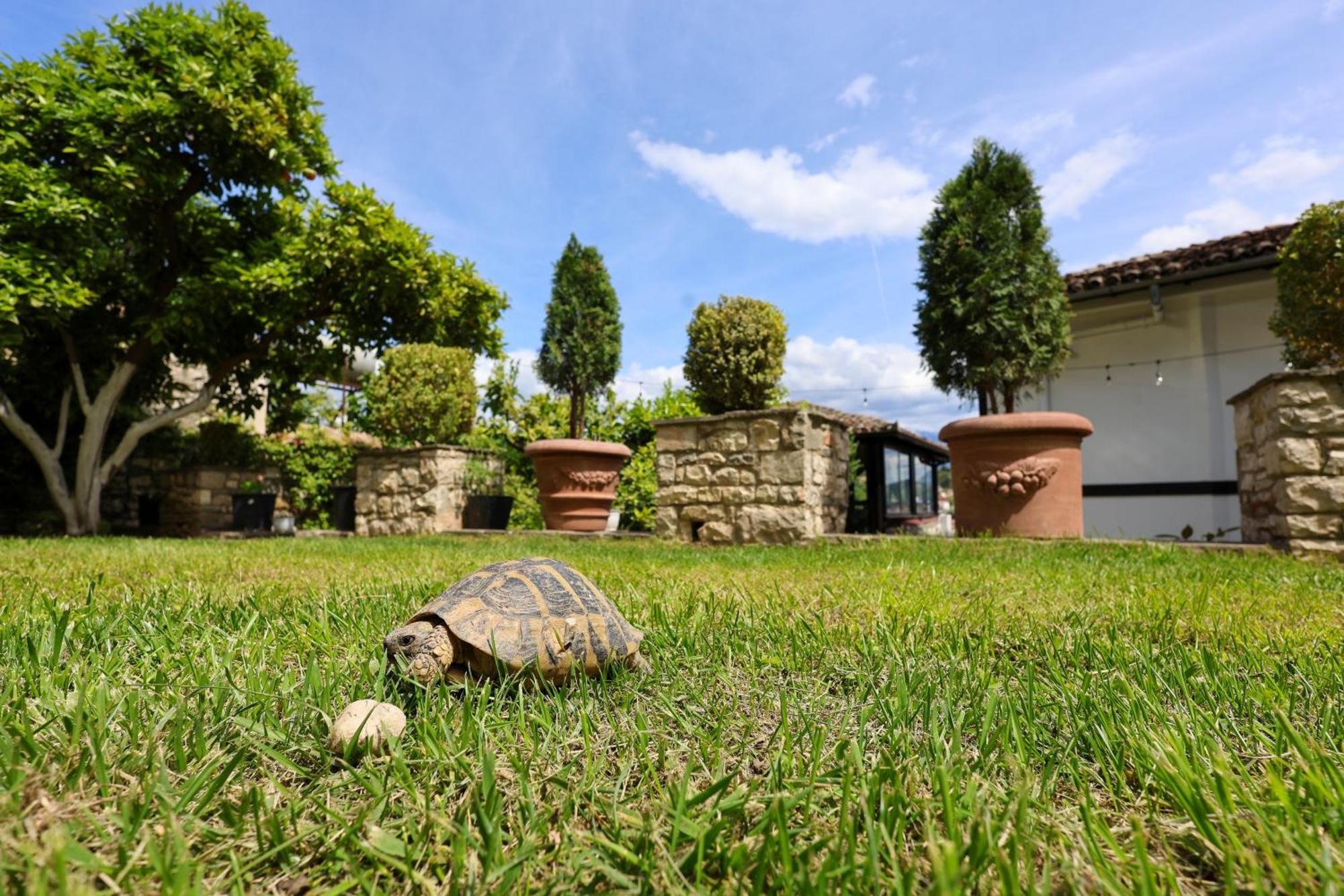 Villa Elmar Berat Zewnętrze zdjęcie